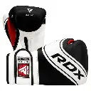 RDX 4B Robo Kids Boxing Gloves