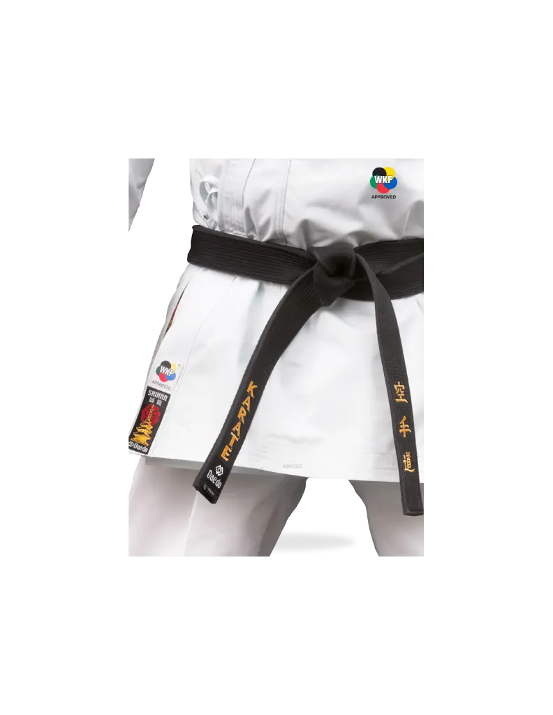 karategui-master-shihan (1).webp