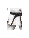 karategui-master-shihan (1).webp